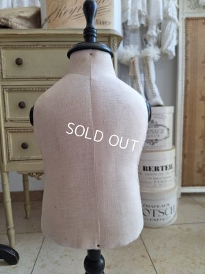 画像16: 小さなトルソー　