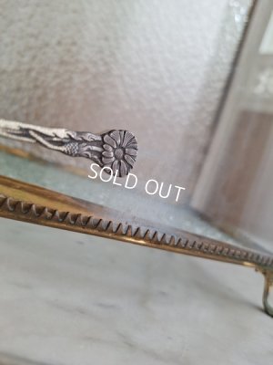 画像17: アンティークマリエガラスケース