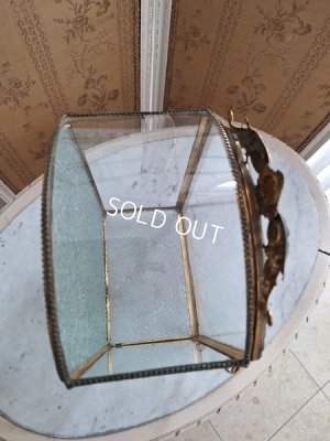 画像12: アンティークマリエガラスケース