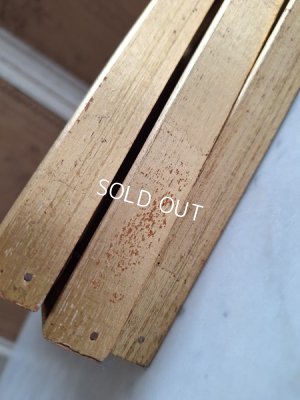 画像10: ルドゥーテローズ画セット