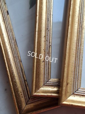 画像7: ルドゥーテローズ画セット