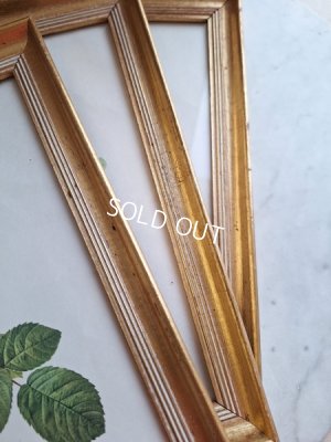 画像5: ルドゥーテローズ画セット