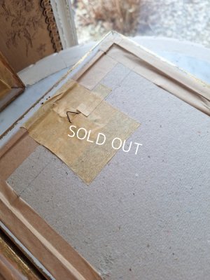 画像15: ルドゥーテローズ画セット