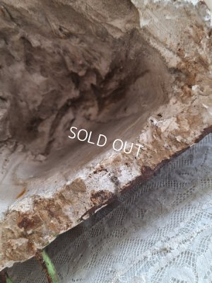 画像16: 石膏天使のコンソール