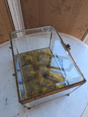 画像16: マリエクッション付ガラスケース