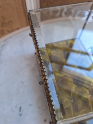 画像17: マリエクッション付ガラスケース