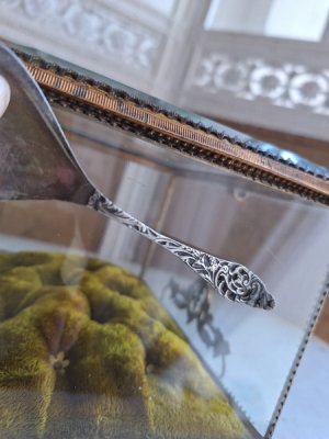 画像20: マリエクッション付ガラスケース