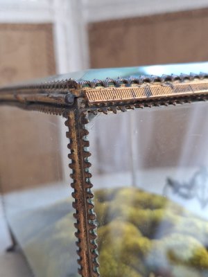 画像21: マリエクッション付ガラスケース