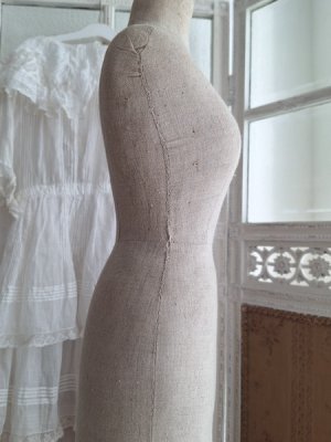 画像6: ミニチュアトルソー