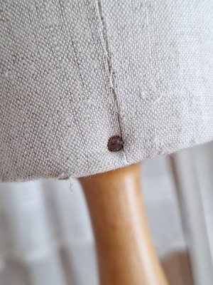 画像14: ミニチュアトルソー