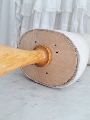 画像19: ミニチュアトルソー