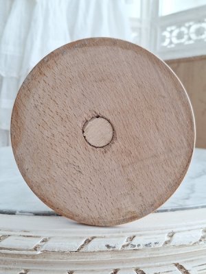 画像20: ミニチュアトルソー