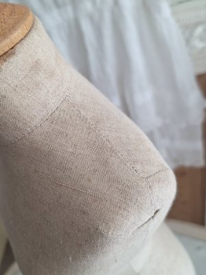 画像17: ミニチュアトルソー