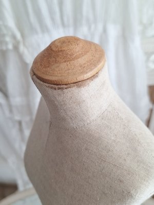 画像21: ミニチュアトルソー