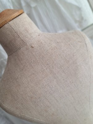 画像24: ミニチュアトルソー