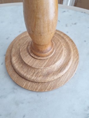 画像25: ミニチュアトルソー