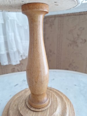 画像26: ミニチュアトルソー