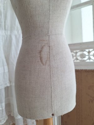 画像15: ミニチュアトルソー