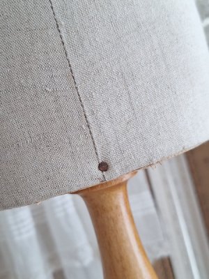 画像18: ミニチュアトルソー