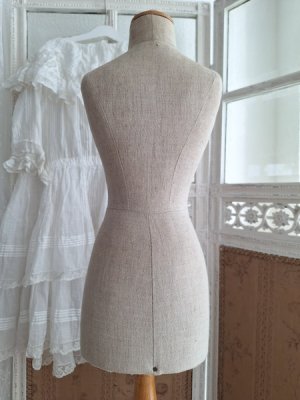 画像8: ミニチュアトルソー