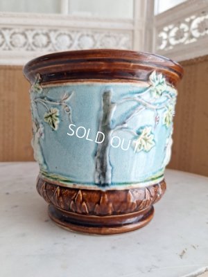 画像11: バルボディーヌ天使のプラントポット