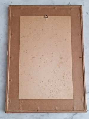 画像8: 額付ファッションモード画