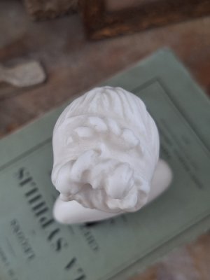 画像7: Louise Brongniar胸像