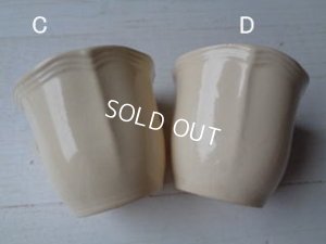 画像7: サルグミンヌ花リムカップ&ソーサー