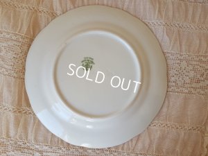 画像8: ハマースレーすみれ柄トリオ