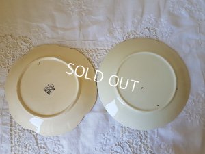 画像7: バルボディーヌパンジーとローズプレートセット