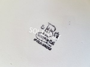 画像8: バルボディーヌパンジーとローズプレートセット