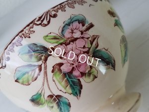 画像11:  Au Planteur de Caïffaりんご柄カフェオレボウル