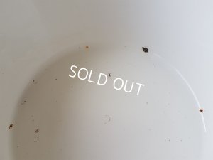 画像13: Japyローズとパンジー柄チュリーン