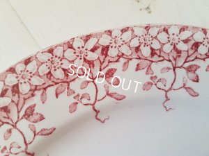 画像3: サルグミンヌ赤い花柄Florineプレートセット