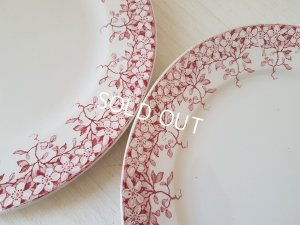 画像4: サルグミンヌ赤い花柄Florineプレートセット
