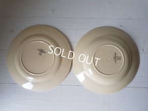 画像9: サルグミンヌ手描きプレートセット