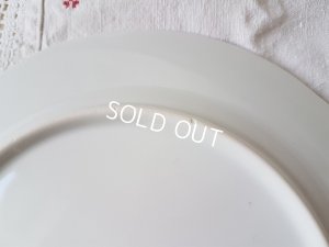 画像12: Ｂavaria Ｓchmannローズ花かご柄プレート