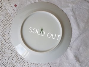 画像5: Ｂavaria Ｓchmannローズ花かご柄プレート