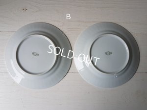 画像11: Bavaria Schumannローズ花かご柄プレート