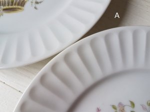 画像6: Bavaria Schumannローズ花かご柄プレート