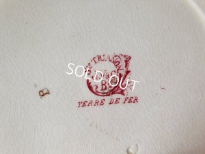 画像8: Terre de ferエンジェルプレート