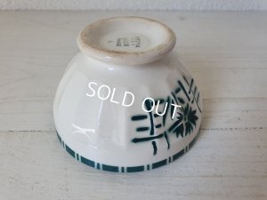 画像4: ディゴワングリーンシルビアカフェオレボウル