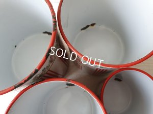 画像14: BB赤ストライプローズガーランドキャニスター