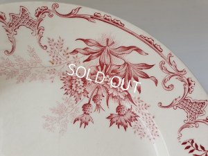 画像3: Choisy le Roi Florealコンポート