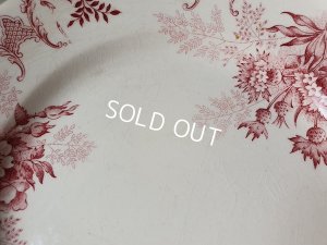 画像7: Choisy le Roi Florealコンポート