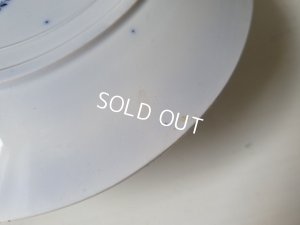 画像20: サルグミンヌWatteauプレート2P