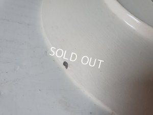 画像11: Froment Richard サルグミンプレート