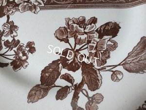 画像3: エミール・ブルジョワ花とレース柄プレート