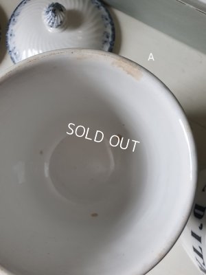 画像11: ALPHANDサルグミンヌキャニスター1P