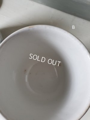 画像12: ALPHANDサルグミンヌキャニスター1P